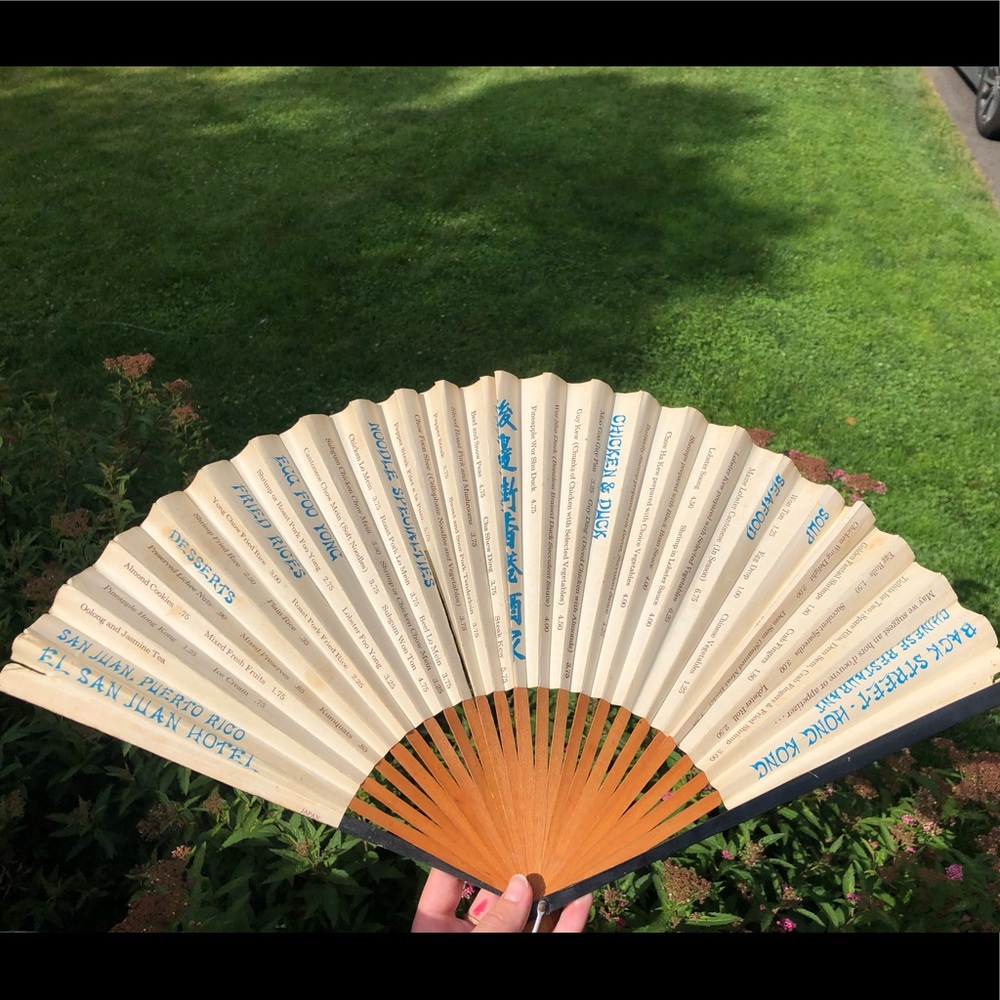 Chinese paper fan